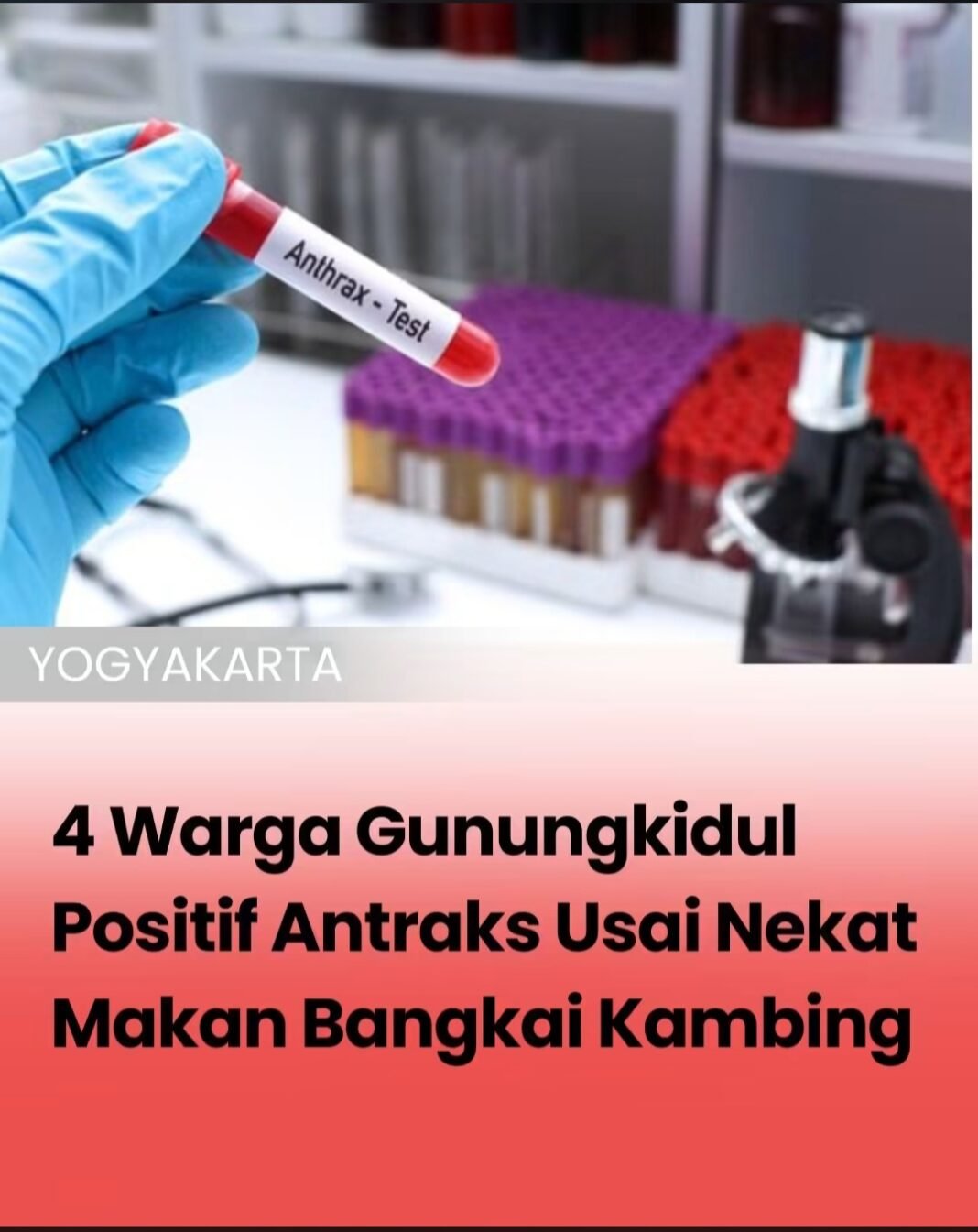 4 warga Gunungkidul positif kena antraks setelah makan bangkai Kambing